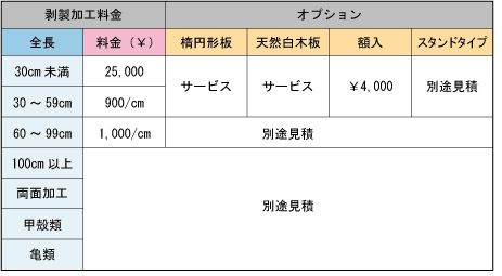 剥製製作